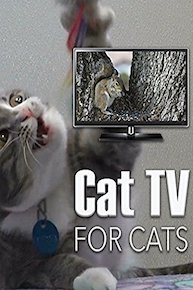 Cat TV - For Cats