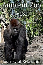 Ambient Zoo Visit poster