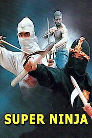 Super Ninja poster