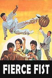 Fierce Fist poster