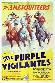 Purple Vigilantes poster