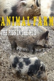 Animal farm. The pigs in the mud poster