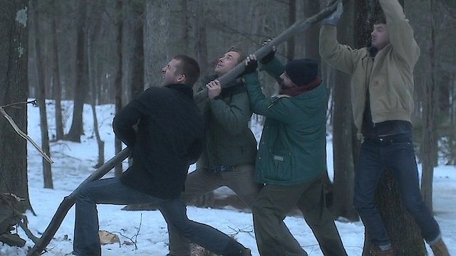 Watch The Bad Guys Online