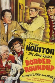 Border Roundup poster
