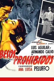 Besos Prohibidos poster