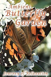 Ambient Butterfly Garden poster