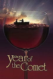 The Year of the Comet poster