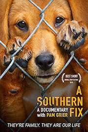A Southern Fix
