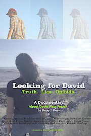 Looking for David poster