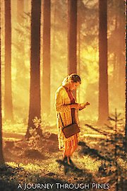 A Journey Through Pines poster