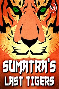 Sumatra's Last Tigers
