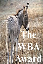 The WBA Award