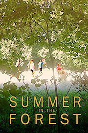 Summer In the Forest poster