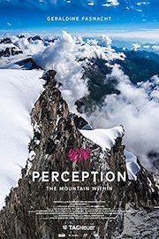 4634 Perception