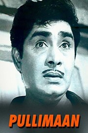 Pullimaan poster