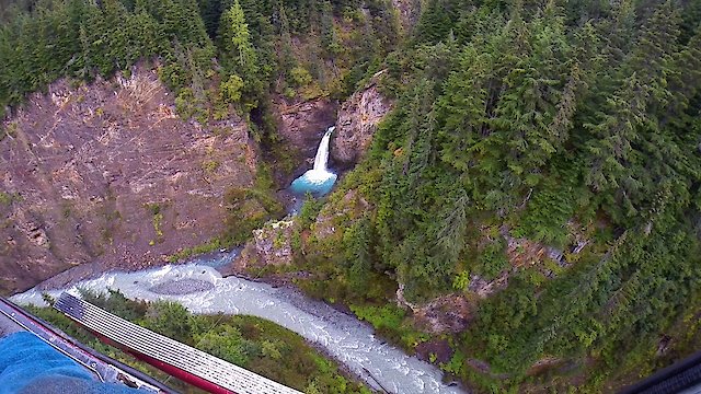 Watch Gold Blooded Online