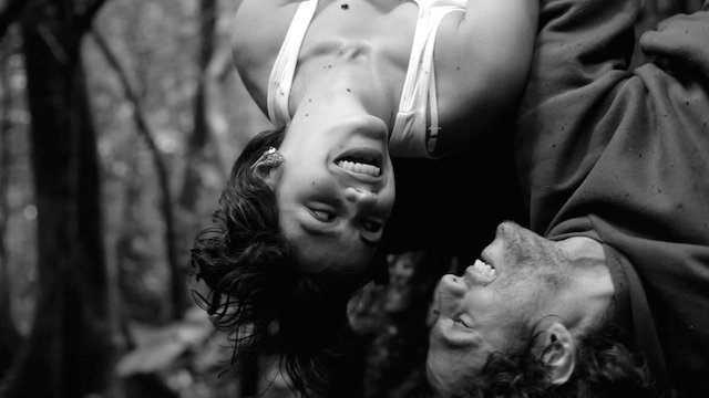 Watch Viaje Online