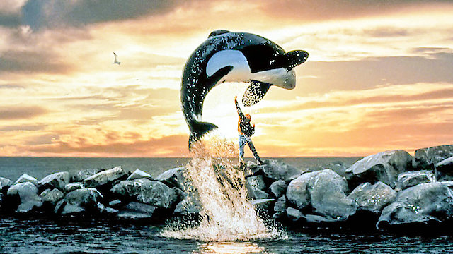 Watch Free Willy Online