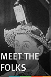 Meet the Folks poster