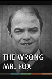 The Wrong Mr. Fox poster