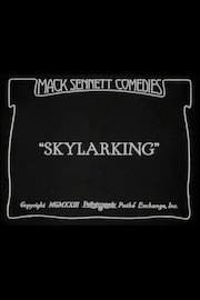 Skylarking poster