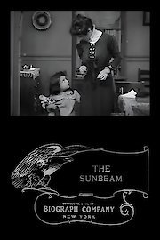 The Sunbeam