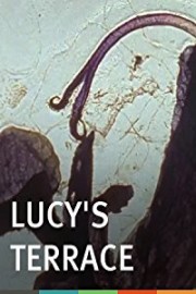 Lucy's Terrace