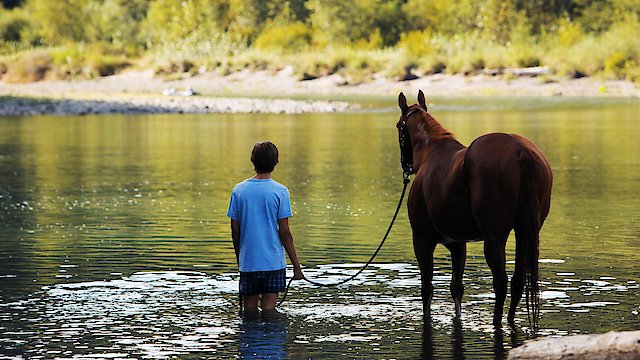 Watch Lean on Pete Online