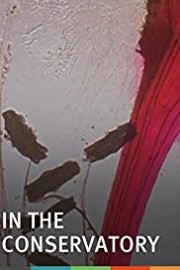 In the Conservatory poster