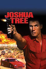 Joshua Tree poster
