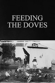 Feeding the Doves
