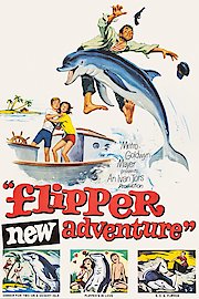 Flipper's New Adventure poster