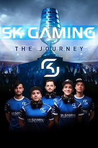 Sk Gaming: The Journey