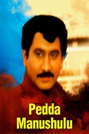 Pedda Manushulu poster