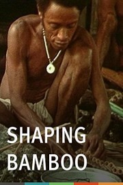 Shaping Bamboo poster