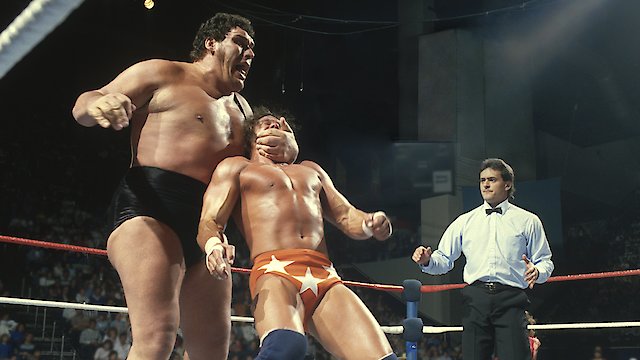 Watch Andre the Giant Online