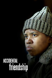 Accidental Friendship poster