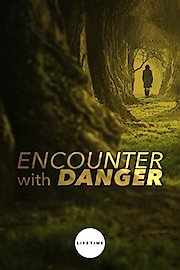 Encounter with Danger poster