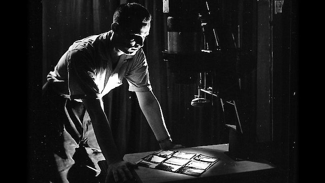 Watch In Search of Avery Willard Online