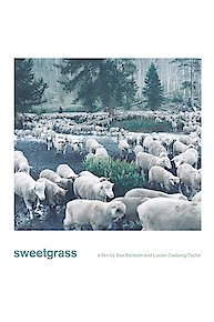 Sweetgrass