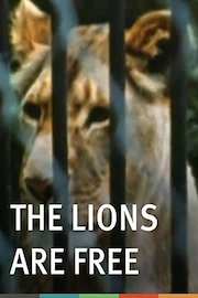 The Lions are Free poster
