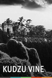 Kudzu Vine