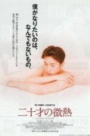 A Touch of Fever poster