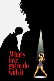 What's Love Got to Do with It poster