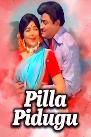 Pilla Pidugu poster