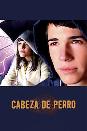 Cabeza De Perro poster
