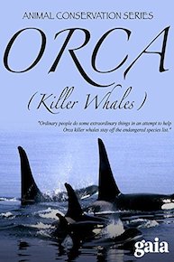 Orca (Killer Whales)