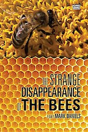 The Strange Disappearance of the Bees poster