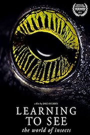 Learning to See