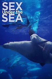 Sex Under The Sea